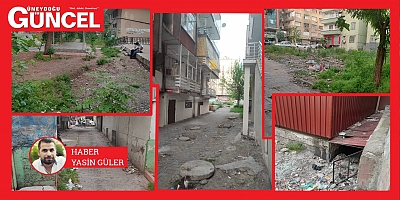 Diyarbakır Kurtişmailpaşa'da Halkın Çığlığı: İhmal ve Güvensizlik