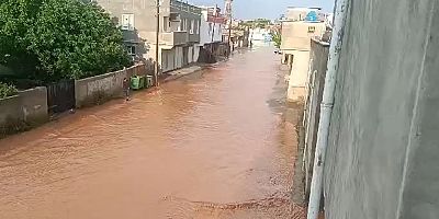 Şanlıurfa'da etkili olan yağış bir mahalleyi sular altında bıraktı