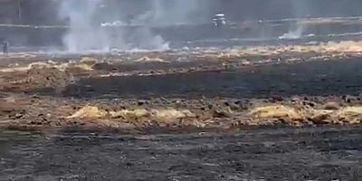 Diyarbakır'da 4 farklı noktada çıkan yangında 80 dönüm ekili alan yandı