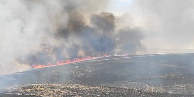 Diyarbakır'da 400 dönümlük ekili arazi yanarak küle döndü
