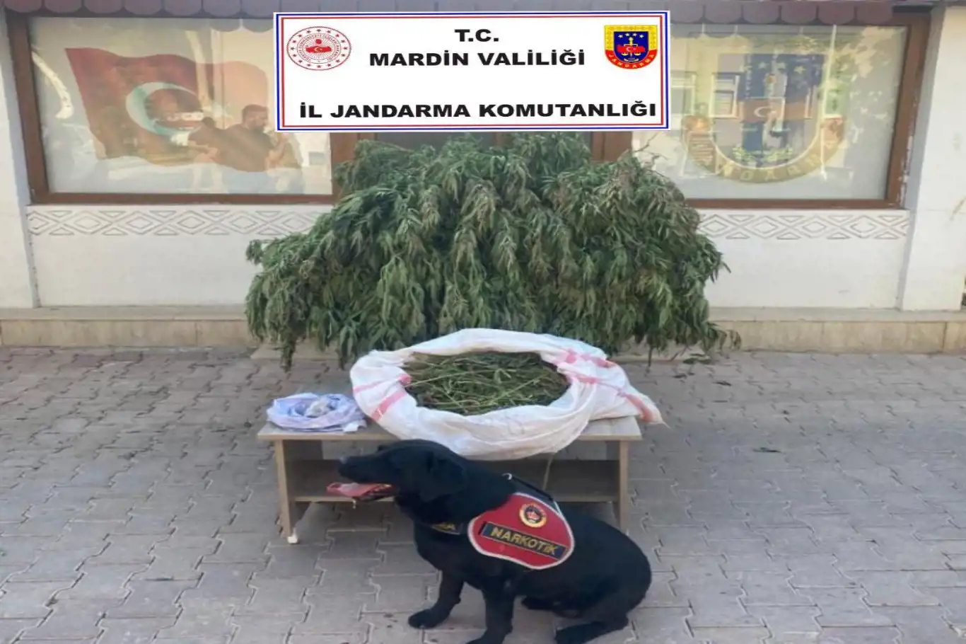 Mardin’de 4 buçuk kilo kubar esrar ele geçirildi