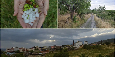 Siirt'te dolu yağışı fıstık üreticilerini mağdur etti